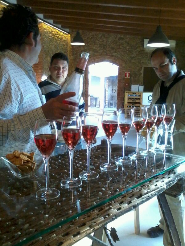 Cata de Oliver Pinot Noir.