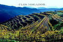 Ejemplo de la escalera de bancales del Priorat (imagen de la web de Clos Mogador de Rene Barbier)
