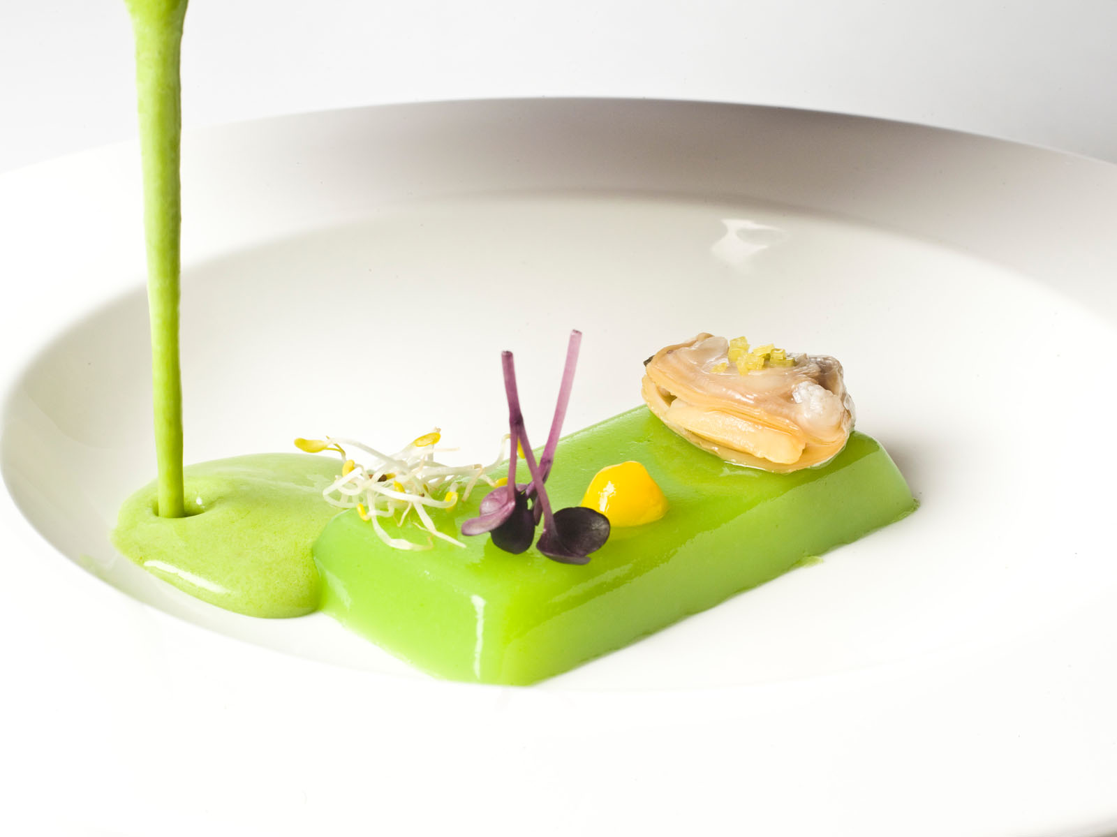 Crema de esparragos con terrina de almeja y brotes