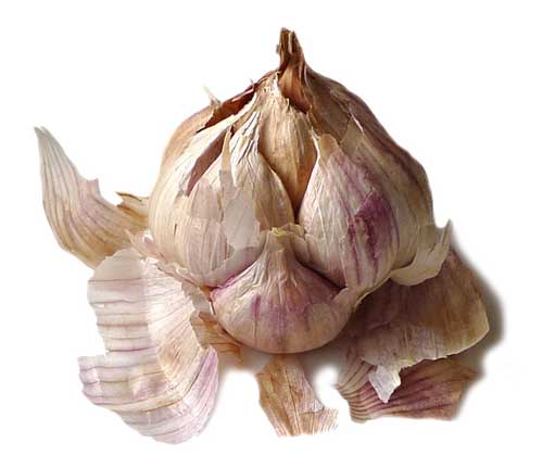 Ajo morado de Pedroñeras
