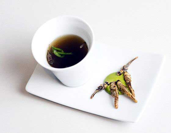 Caldo de grillos del NOMA