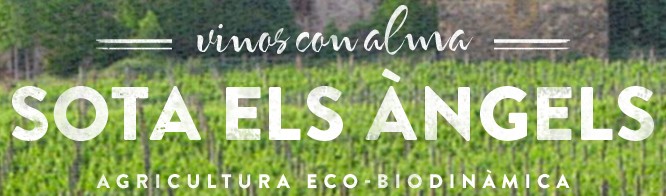 Sota els Àngels