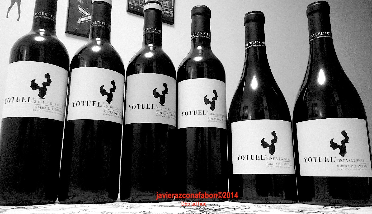 vinos yotuel
