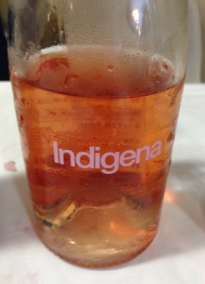 I_Salon_Solo_Rosados_Indígena