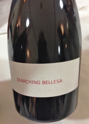 I_Salon_Solo_Rosados_Searching_Bellesa