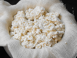 Ricotta, requesón