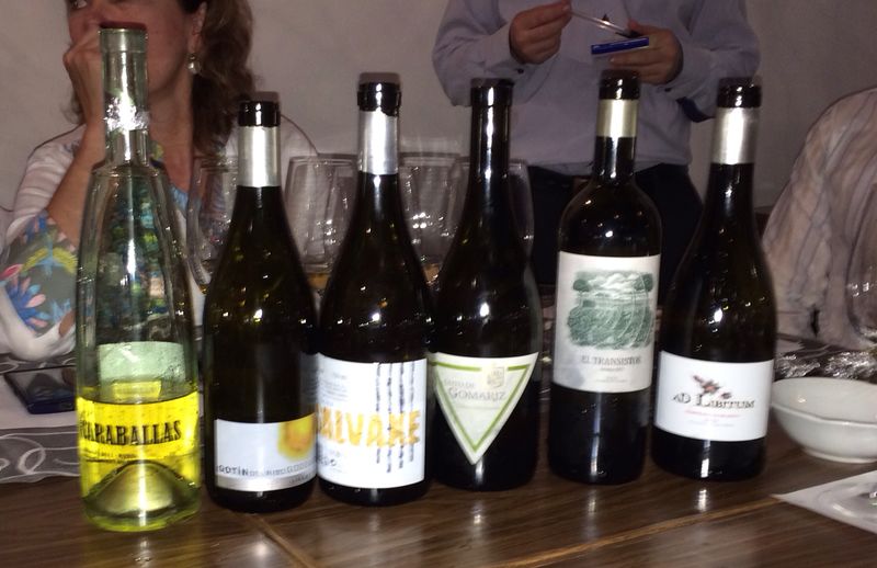 Los vinos