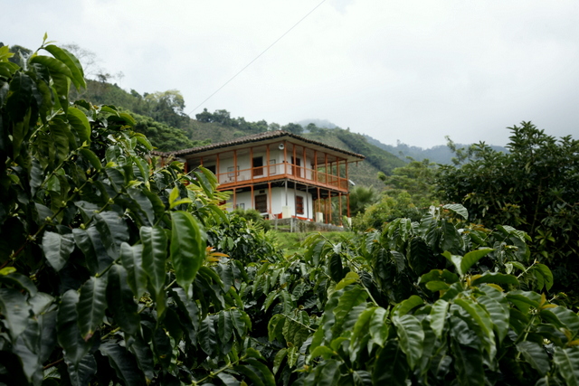 Hacienda Cafetera
