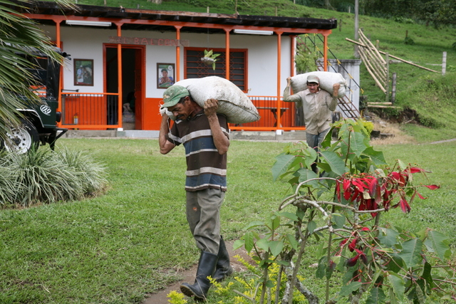 Operarios finca El Balcón
