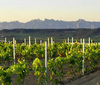 Encuentro-foreros-verema-penedes-2014_thumb