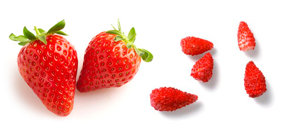 Fresones y fresas
