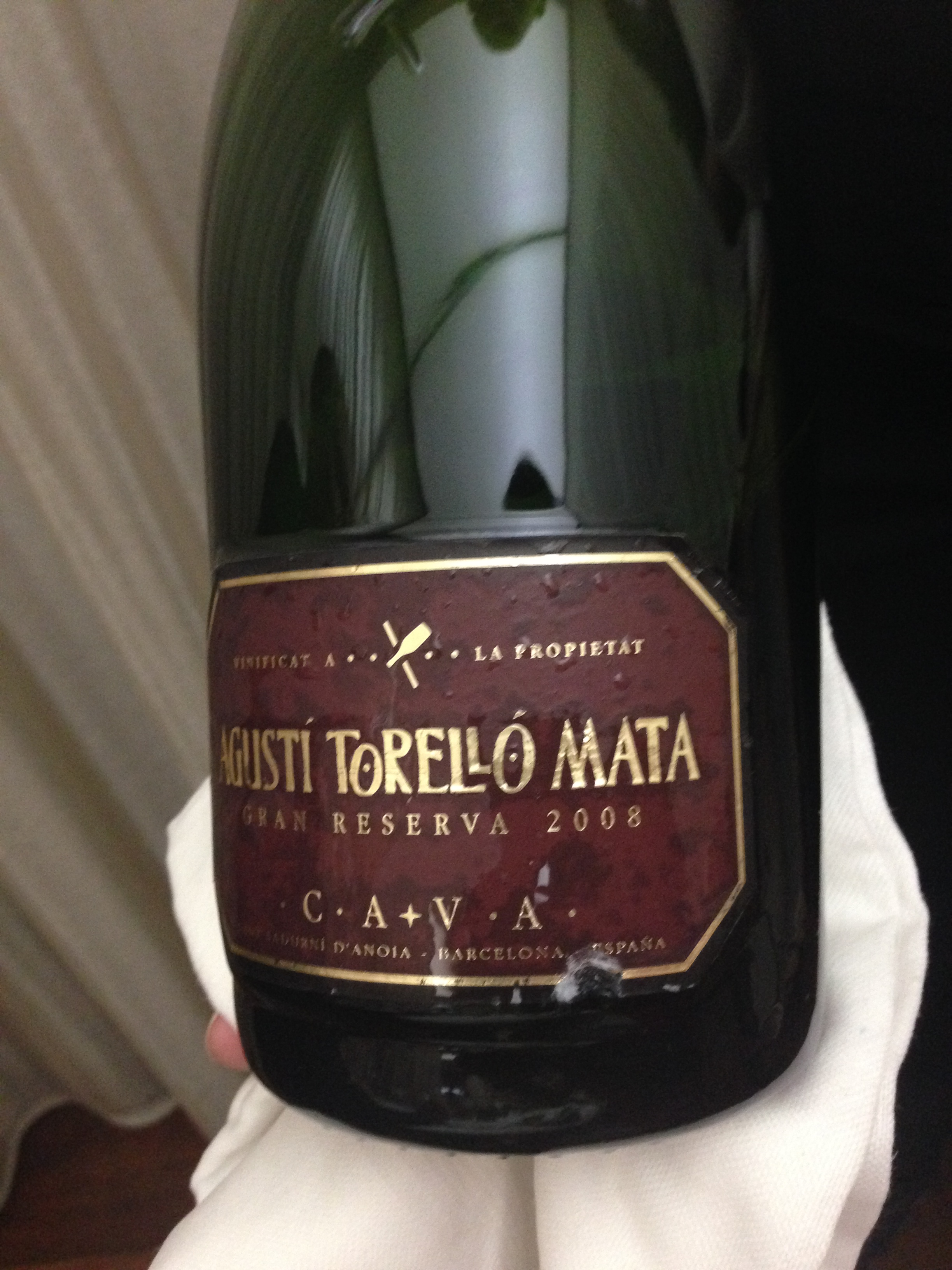 Agusti Torello Mata GR 2008