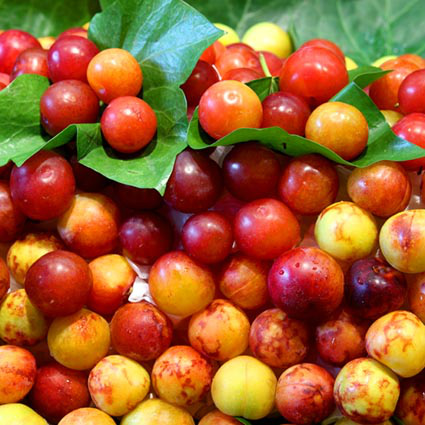 Por ejemplo, las mirabolas que me he tomado esta noche. Dulces como el almíbar :-P