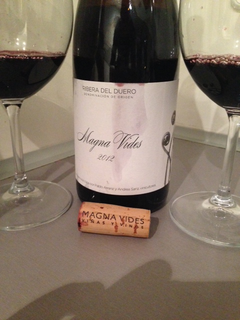 Magna Vides 2012