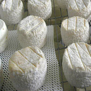 Barlett Cheese