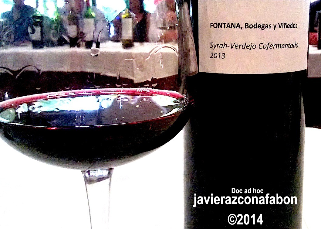 syrah-verdejo