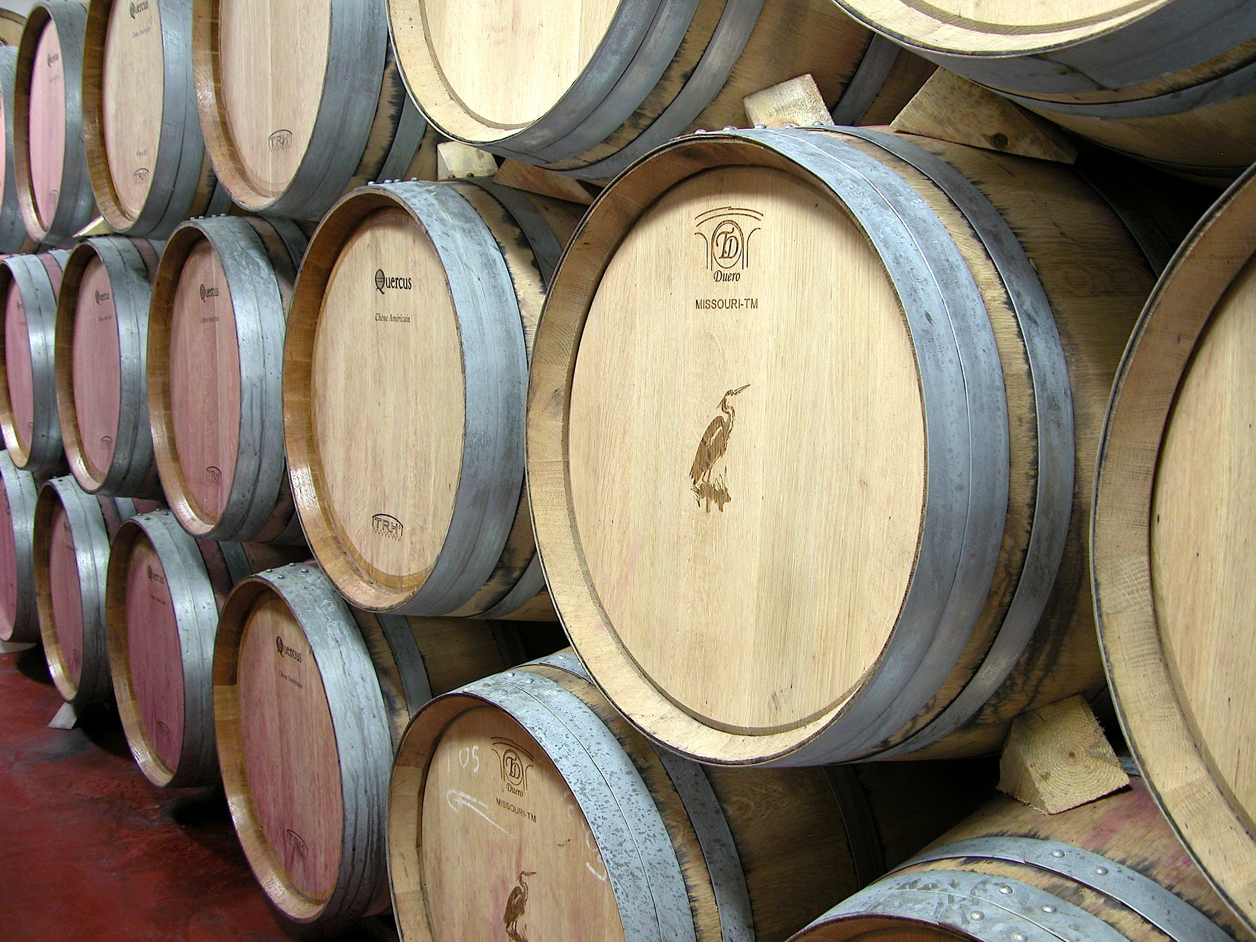 sala de barricas