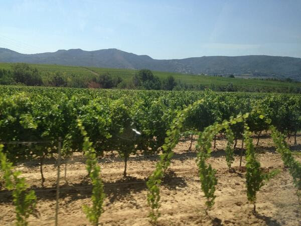 Twitter Verema Penedès 6