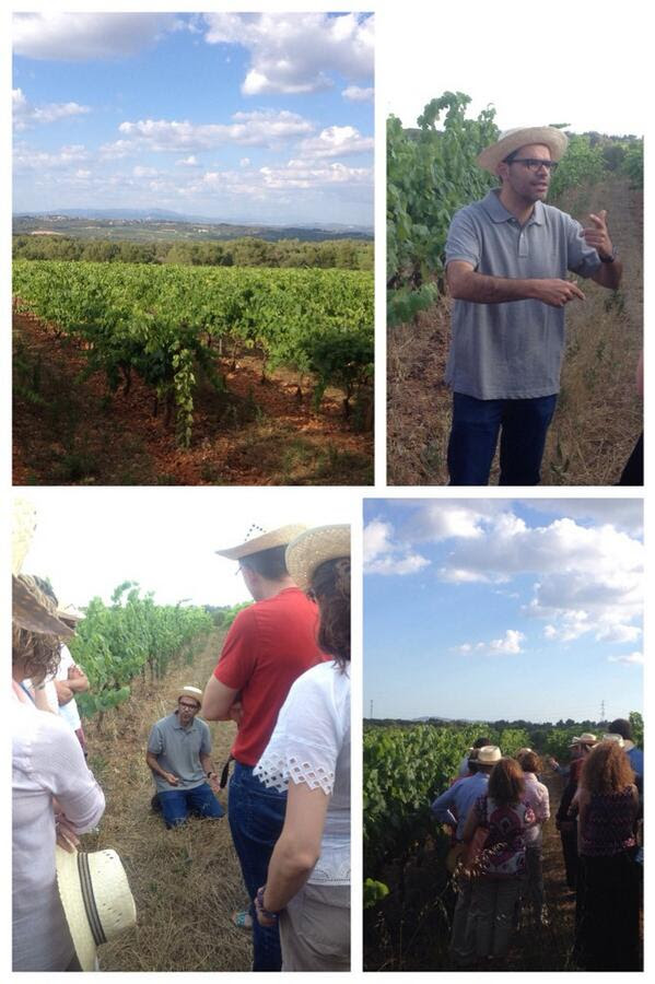 Twitter Verema Penedès 11