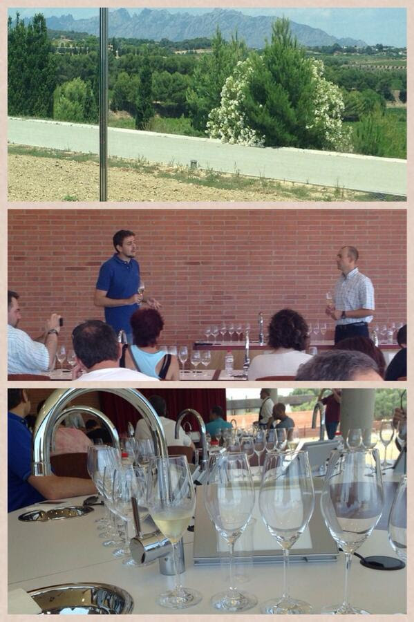 Twitter Verema Penedès 13