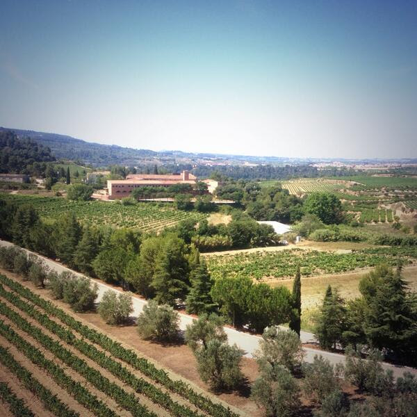 Twitter Verema Penedès 18