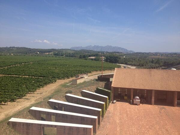 Twitter Verema Penedès 19