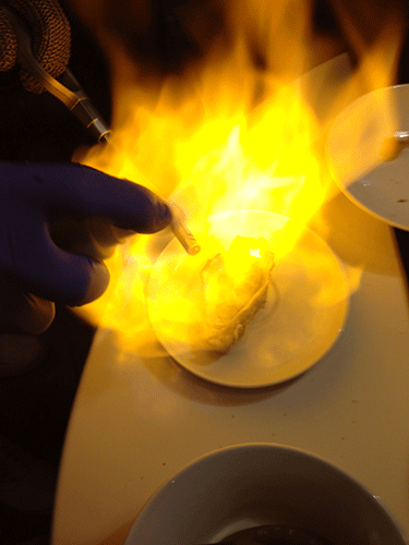 Ostra y fuego
