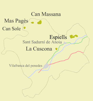 Viñedos Juve y Camps