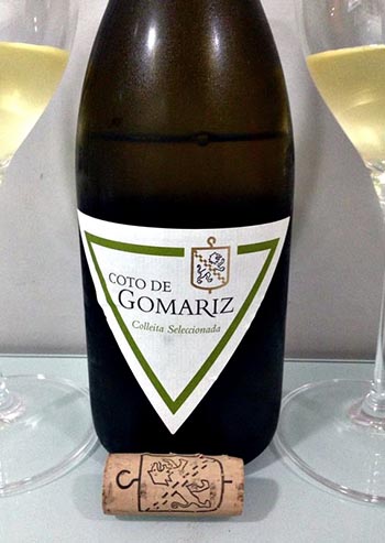 Coto de Gomariz Colleita Seleccionada 2011