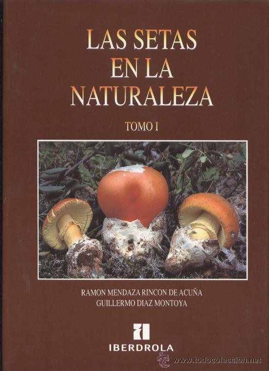 Las setas en la naturaleza (Iberdrola)