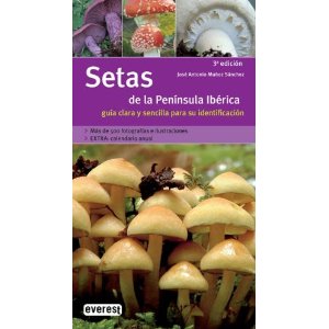 Setas de la península ibérica (Everest)