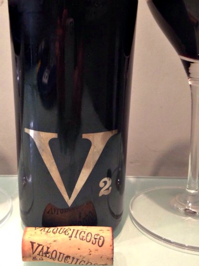 V2 Valquejigoso 2008: Vinazo!