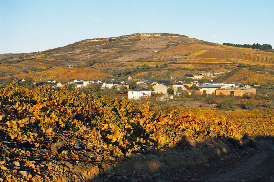 La Vizcaína de Vinos Paraje Valtuille de Abajo