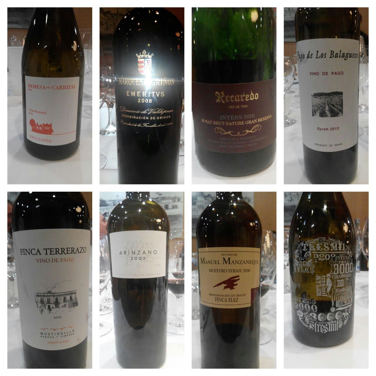Vinos catados