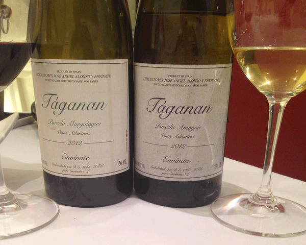 Vinos Táganan