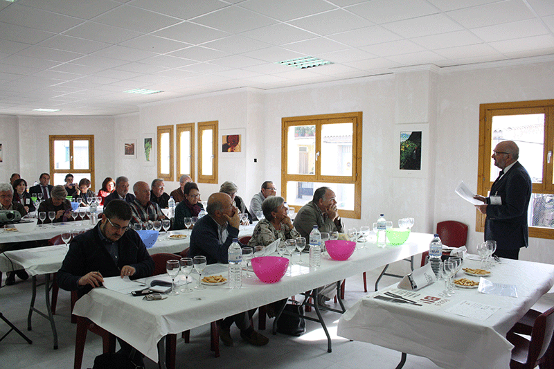 Benlloch International Wine Meeting cata dirigida