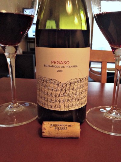 Pegaso Barrancos de Pizarra 2010