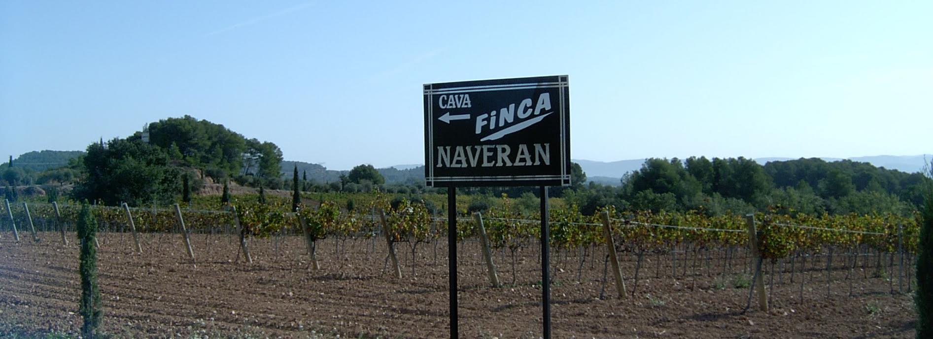 cavas penedes