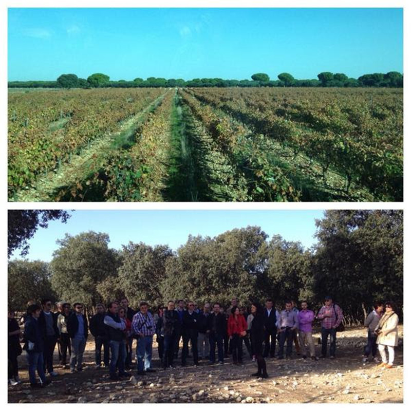 Encuentro de foreros en Ribera del Duero