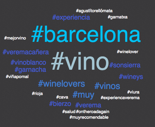 Experiencia Verema Barcelona 2014 #VeremaBCN