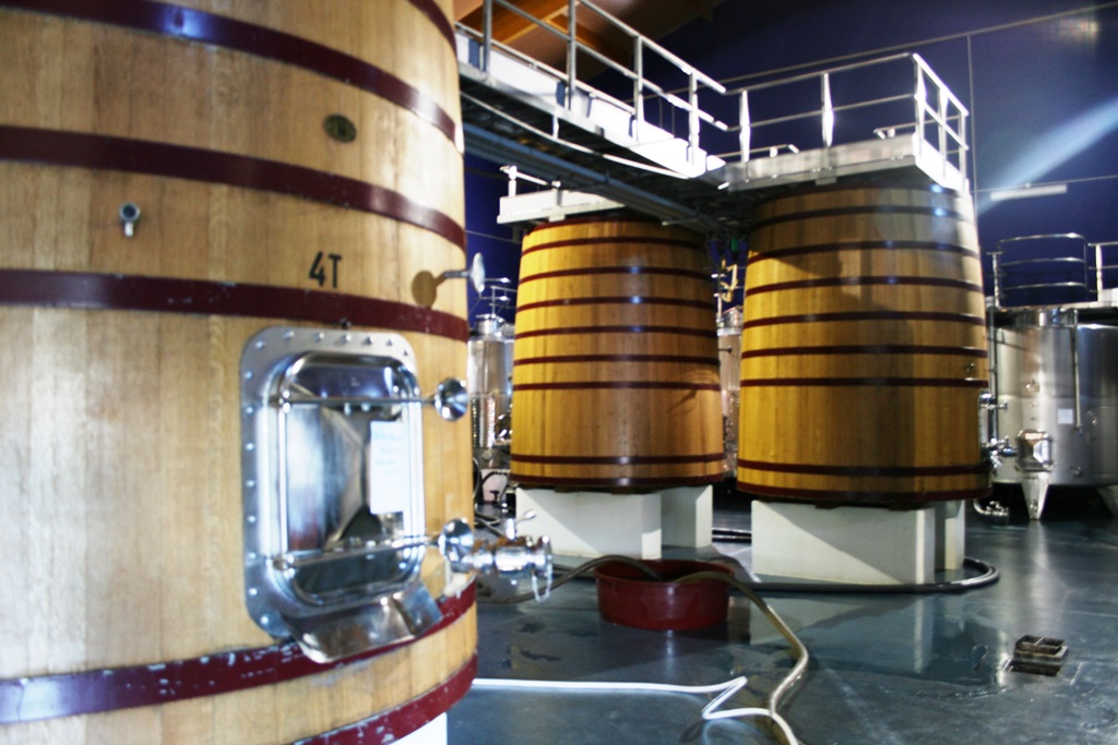 interior bodega