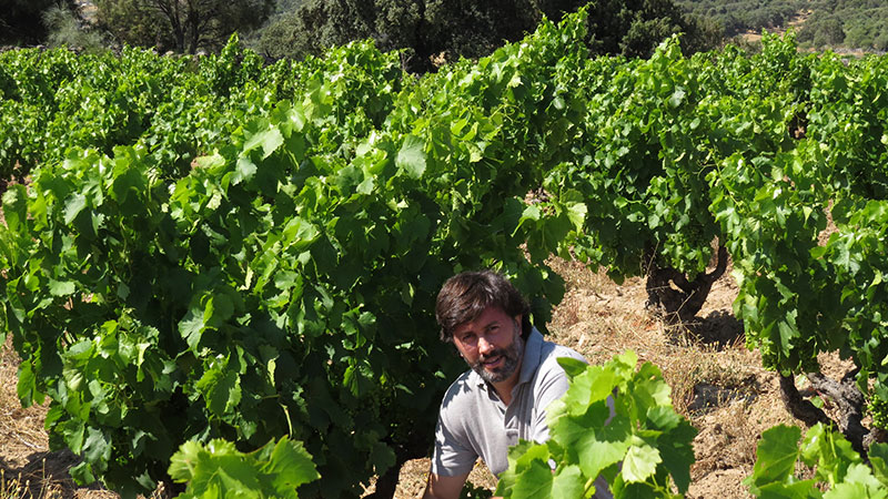 Entrevista José Benavides Jiménez Landi foto en el Real de San Vicente