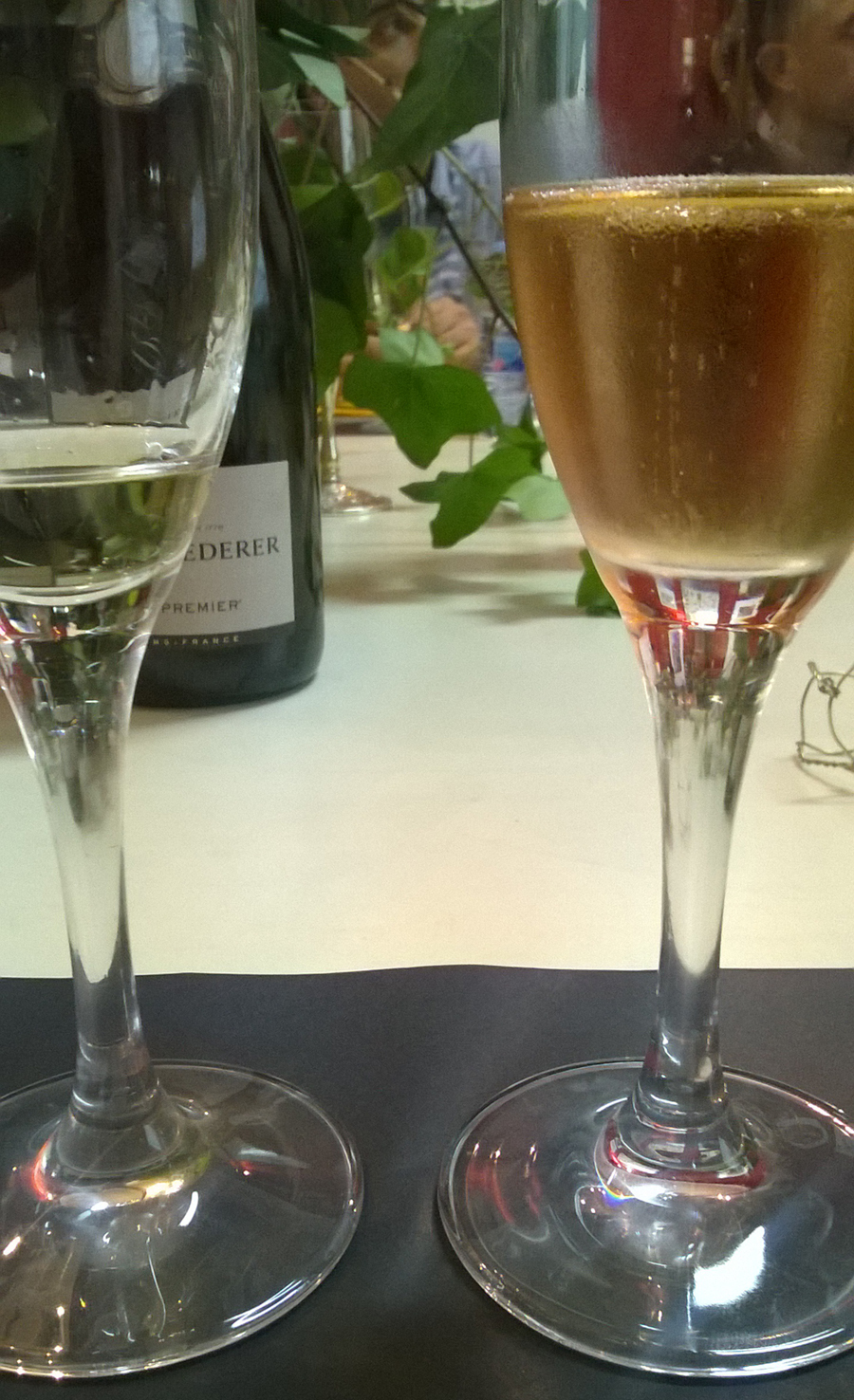 Aurelio_Gómez-Miranda_bloG-M_Cata_de_Louis_Roederer(s)_Conclusiones