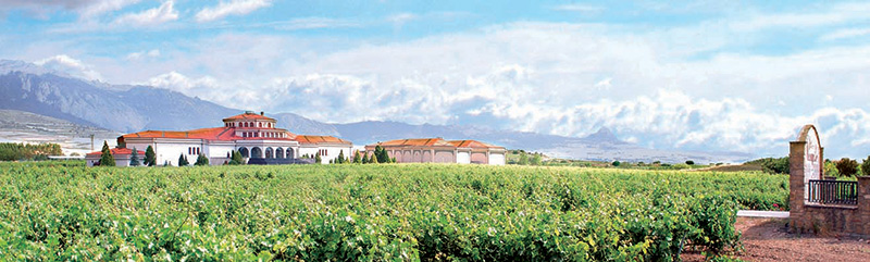 Bodegas y viñedos Campillo