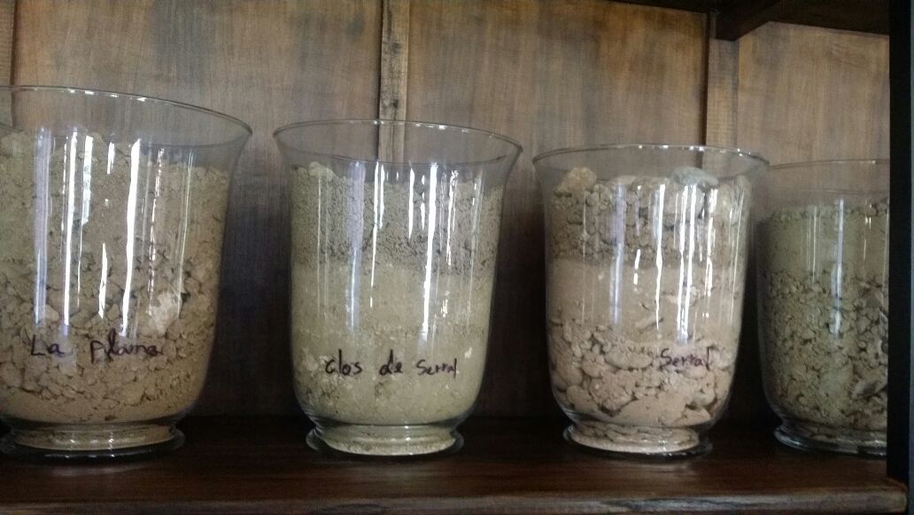 Diferentes suelos de la finca.