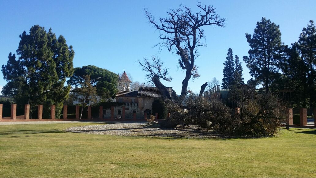 El emblemático roble simbolo de la casa.