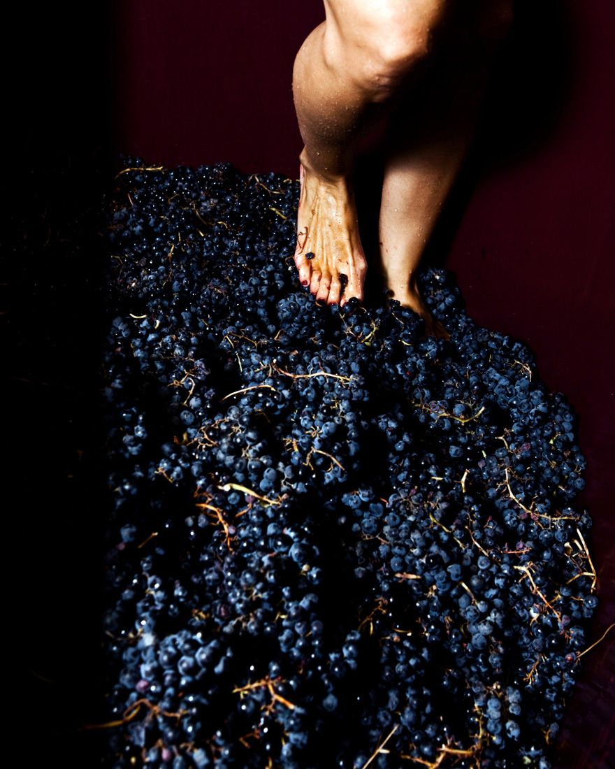 Sara Perez pisando uva