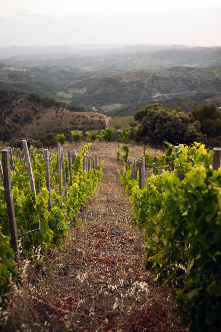 Sara Pérez y Mas Martinet
