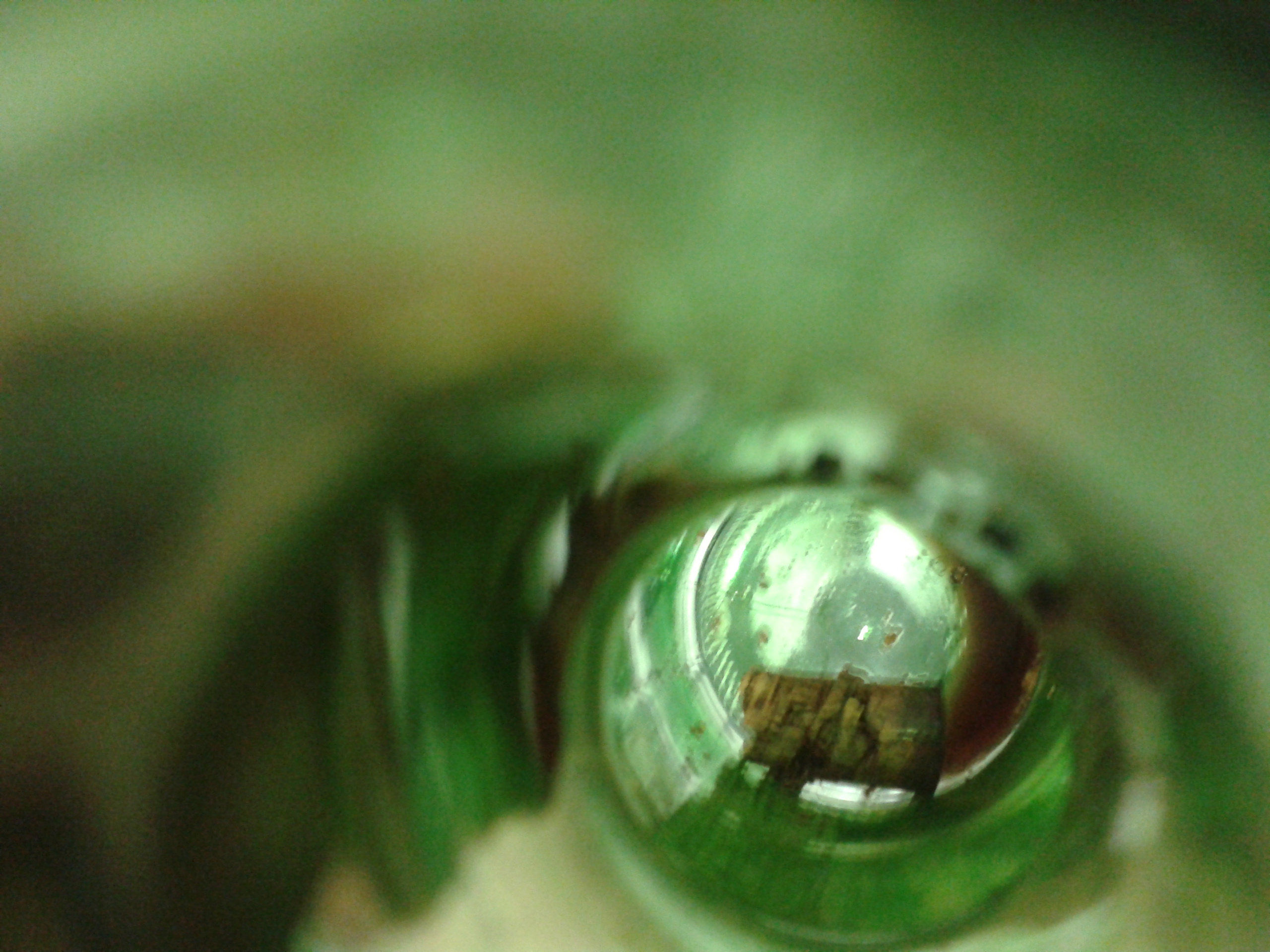 Botella (nuestro intestino?)