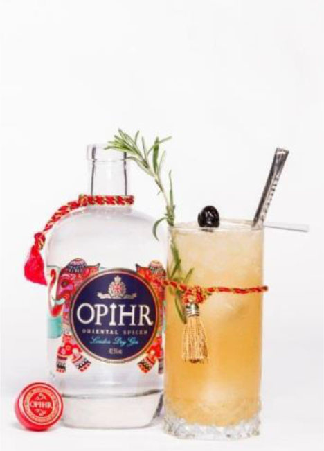 Cóctel de Javier García con Ophir Gin en The Gin Collection Contest
